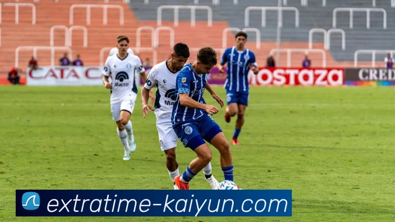 开云官网平台生态图